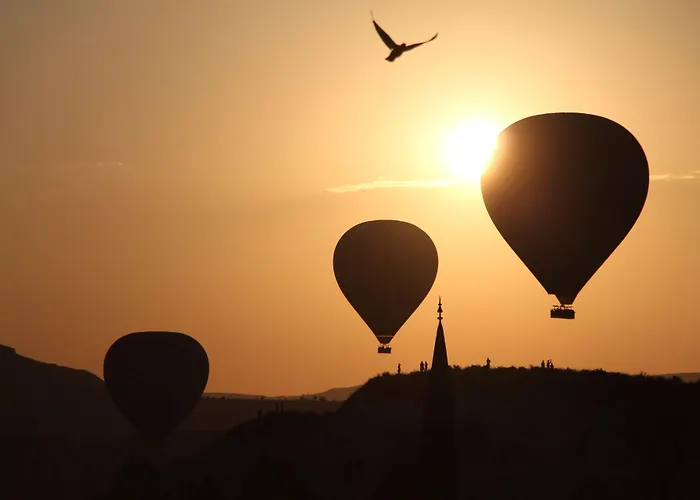 Vista Cave גורמה